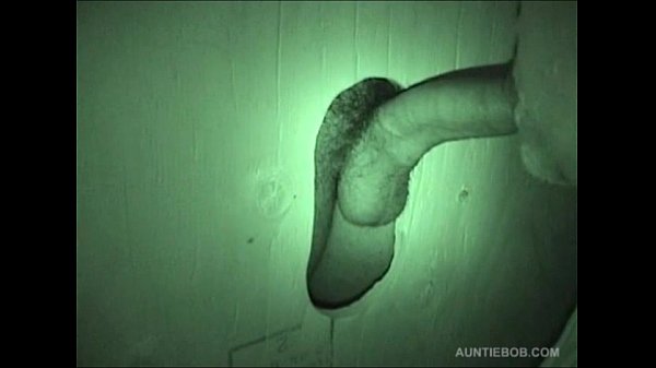 Auntie Bob’s Public Rest Room Covert Web cam