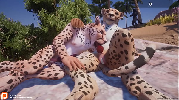 Hairy Porno – Fag Cheetahs