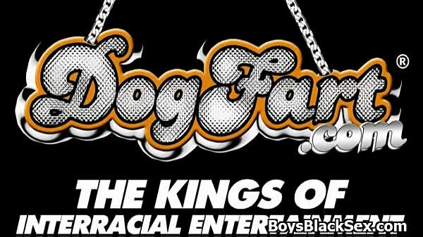 Blacks On Boys – Gonzo Queer Interracial Fuck-fest 01